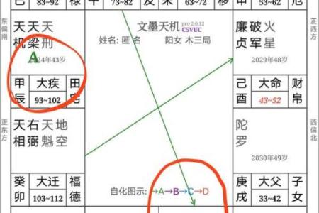 紫薇斗数精成大家