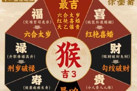 生肖猴出生日期，手把手教你如何选好吉日