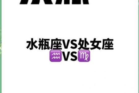 爱水瓶女入骨的星座男 爱水瓶男入骨的星座女