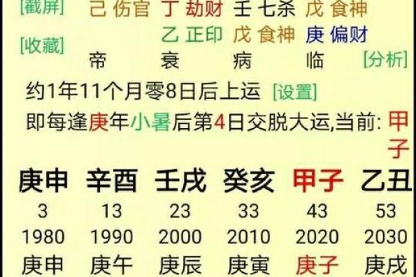 免费八字算命天天