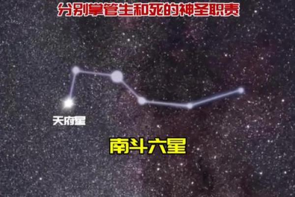 揭秘大熊星座性格特征及爱情运势，让你更了解自己