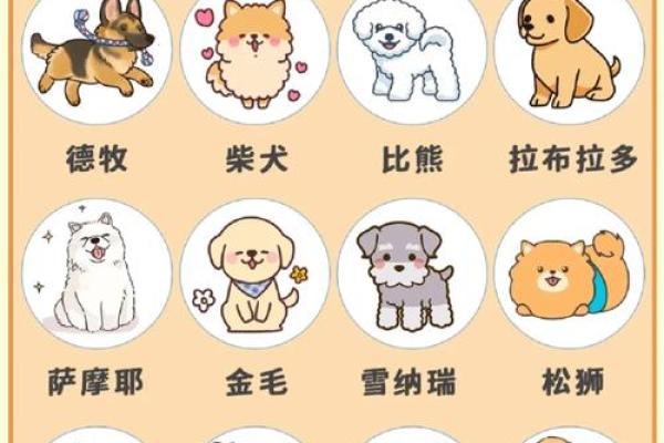 十二星座中谁适合养什么狗