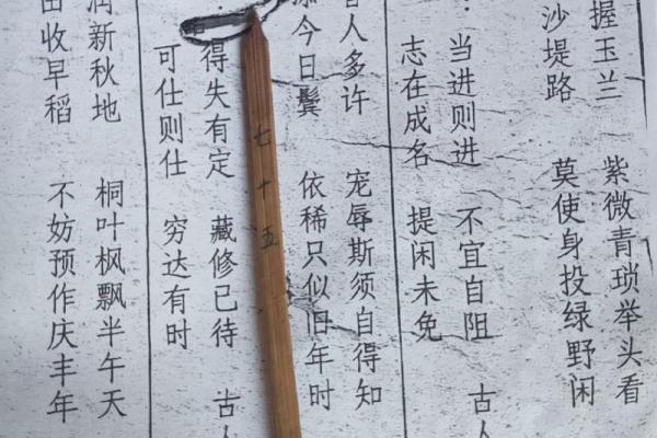 文王灵签解签大全集