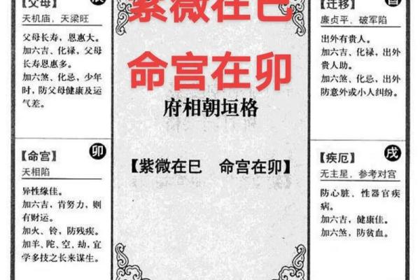巨门在子女宫，紫微斗数巨门星在子女宫
