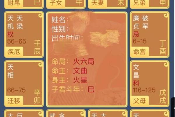 算命中星神是什么命格