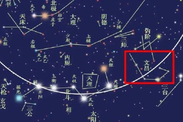 算命中星神是什么命格