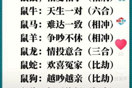 算命查八字怀孕