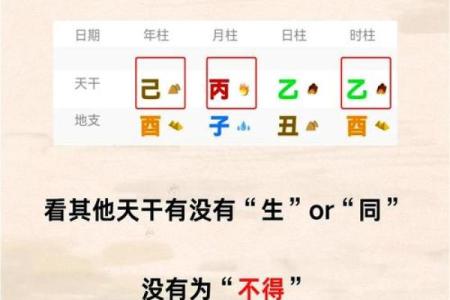 八字木火为用神