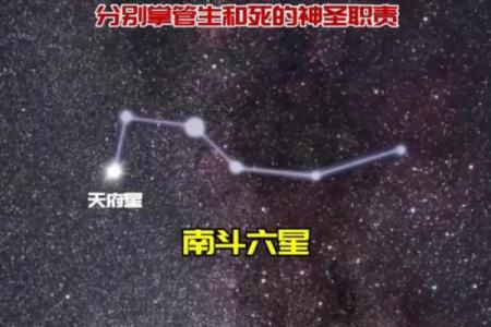 揭秘大熊星座性格特征及爱情运势，让你更了解自己