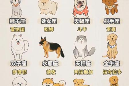 十二星座中谁适合养什么狗