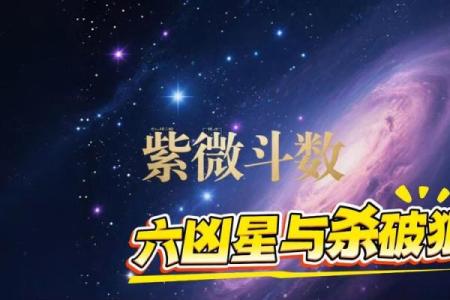 紫微斗数杀破狼 紫微斗数？
