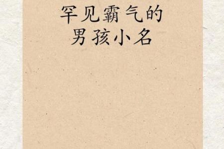 2019年3月31号酉时出生的男孩要怎么起名字姓名