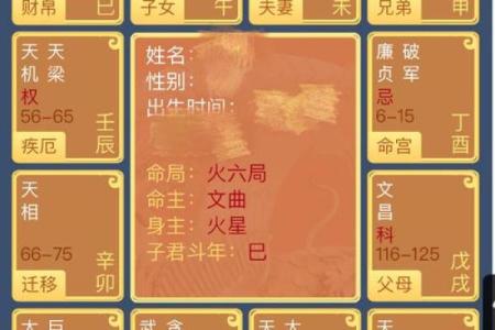 算命中星神是什么命格