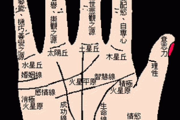 看手相算命图解：掌线
