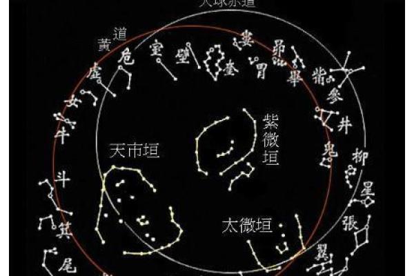 北斗星和紫薇星的区别是什么意思啊