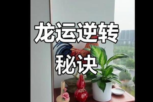 风水资讯：运势不好，可这样做