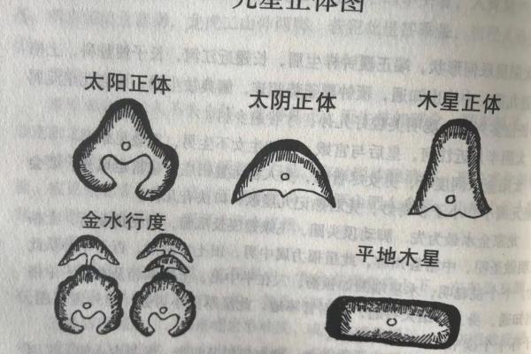 事关后代，墓地风水龙穴砂水向