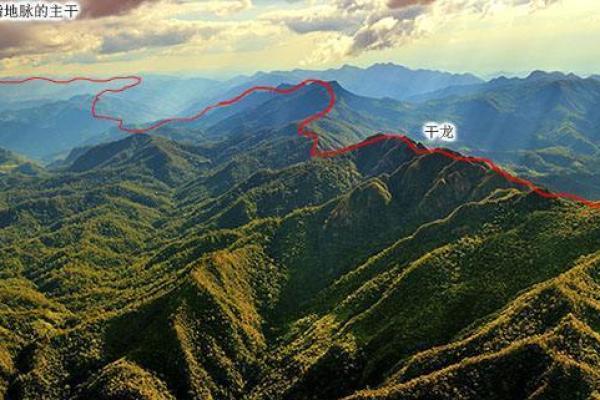 事关后代，墓地风水龙穴砂水向