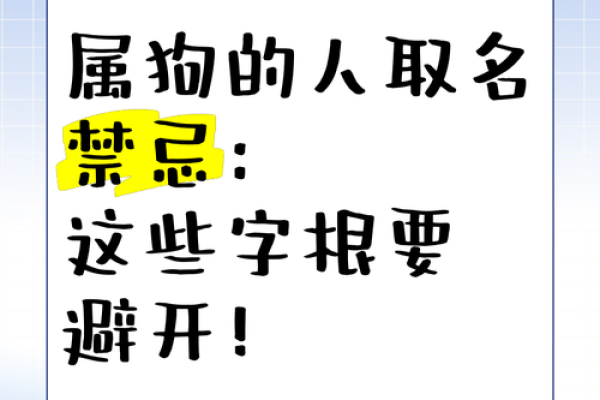 上午出生的属狗男孩如何取名，适合什么字姓名