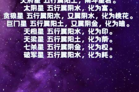 紫薇斗数力士是什么意思