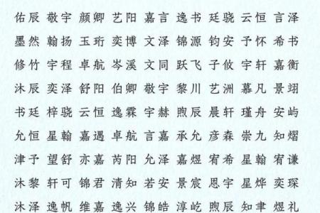 2019年6月24号子时出生的男孩要怎么起名字姓名