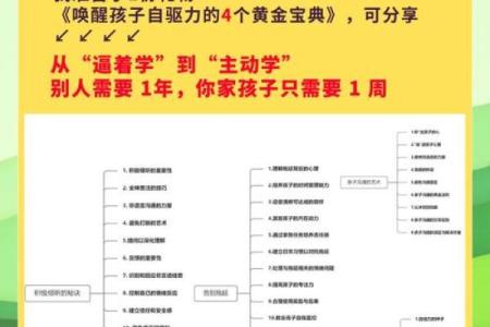 如何从八字挖掘孩子的天赋