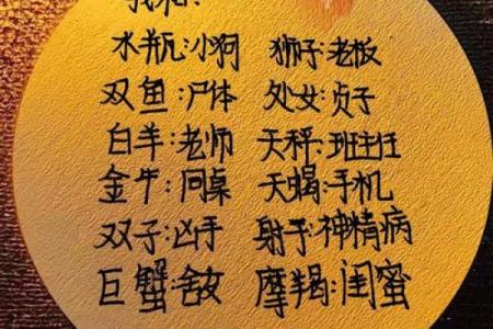 外傻内精的星座