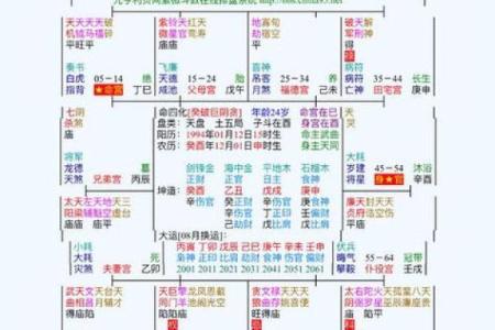 紫薇斗数怎么看有没有小孩