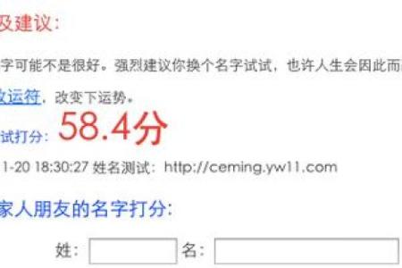 起名免费取名打分测试结果,起名网免费打分测试