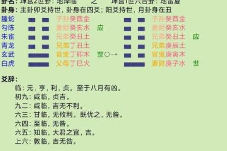 每日风水资讯：处理事情需专注