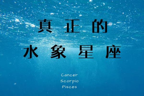 水象星座和水象星座能在一起吗