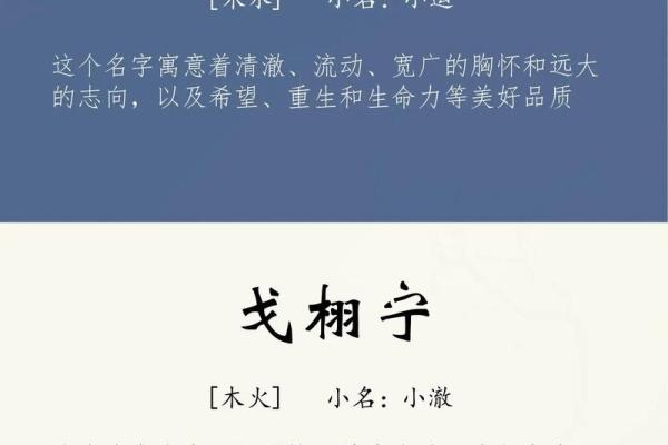 2019年3月17号寅时出生的男孩起名方法姓名