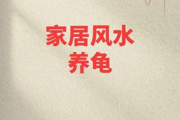 风水的方位_乌龟代表哪个方向