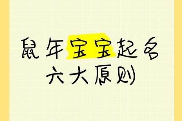中午出生的属鼠男孩应该如何取名姓名