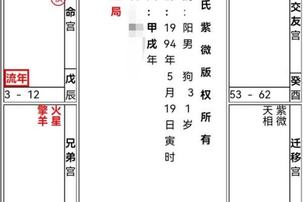 紫薇斗数 命盘是怎么看