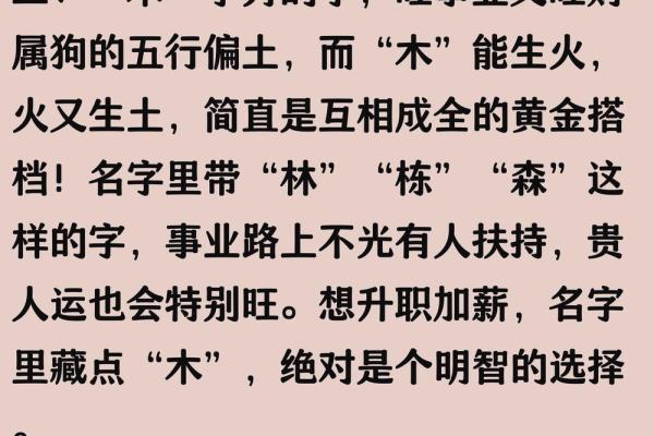 三月份出生的属狗男孩如何取名字姓名
