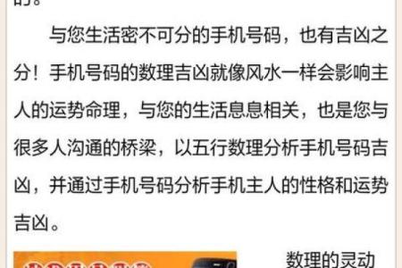 八字测车牌号码测吉凶测试