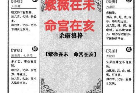 紫薇斗数将军在疾恶