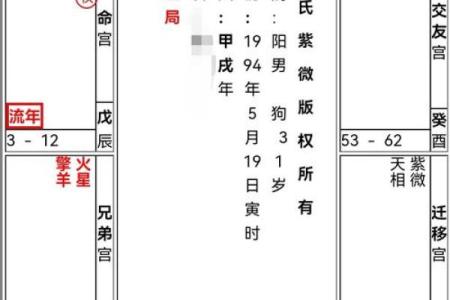 紫薇斗数 命盘是怎么看