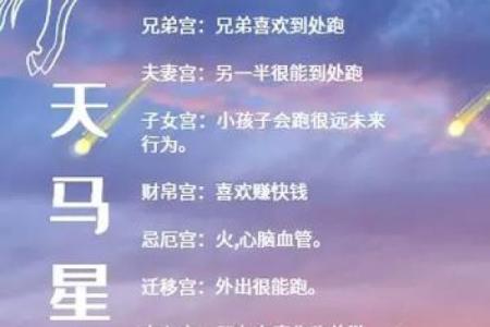 读万卷书不如行万里路，紫微斗数之天马星