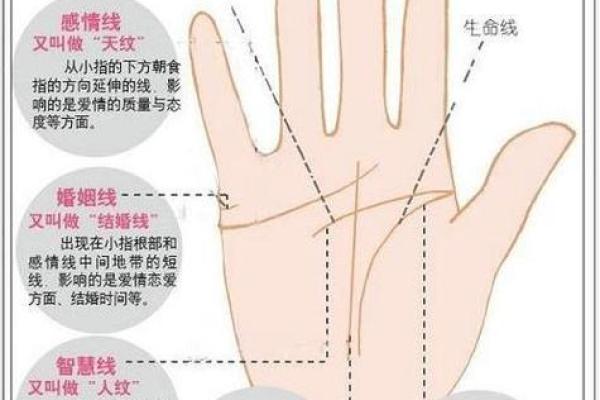 罕见的掌纹手相算命和图解