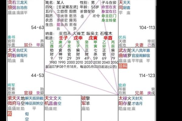 紫薇斗数流禄