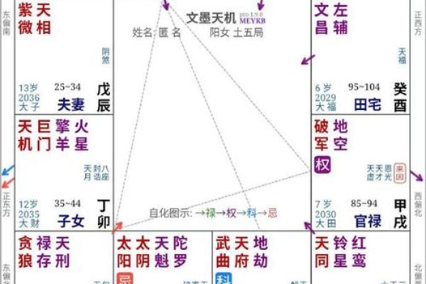 紫薇斗数如何看工作变化