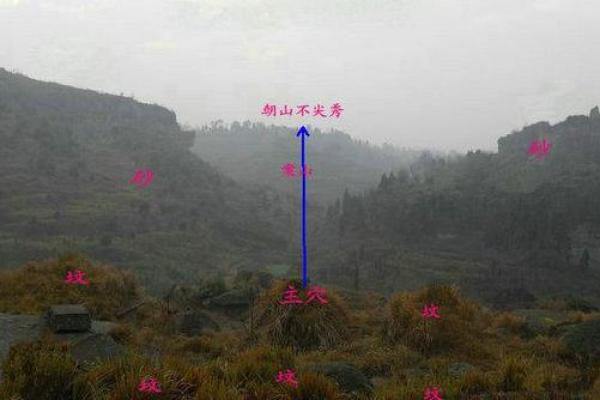 如何看平原坟地风水，风水好坏