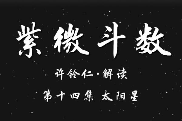 紫薇斗数重逢
