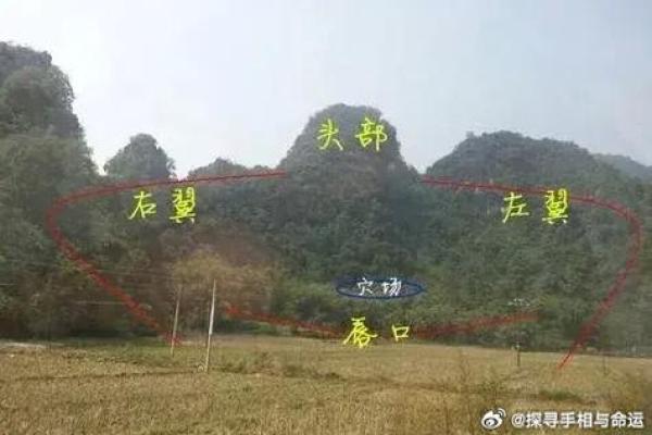 祖坟风水好的基本要求都有哪些