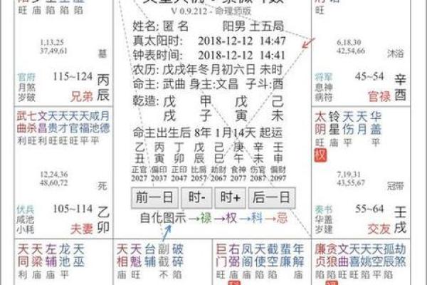 紫薇斗数对财库的影响