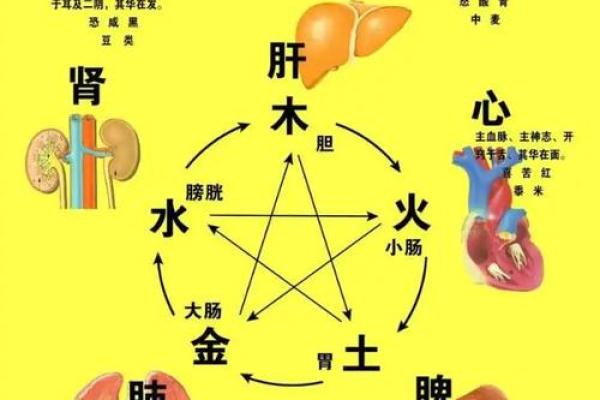 从八字看疾病