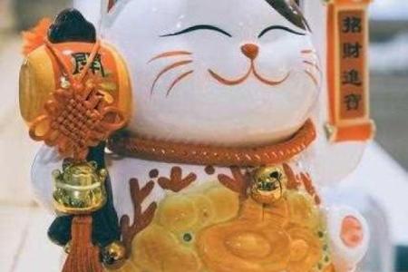 算命大师公认的这四大生肖女，旺夫旺子，添丁就是添财！