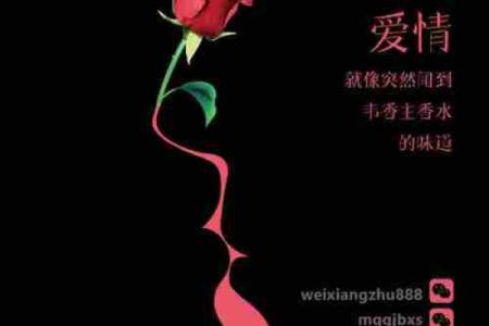 恋爱运的风水，让我来帮你支招